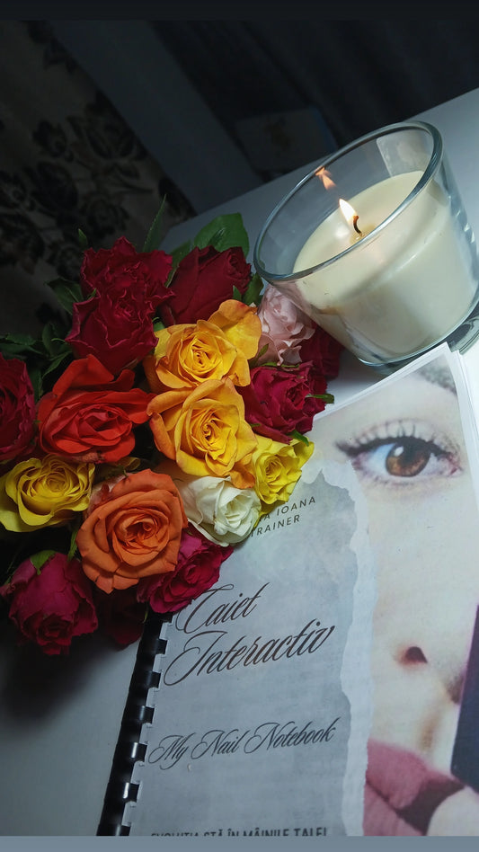 Caiet interactiv Fizic