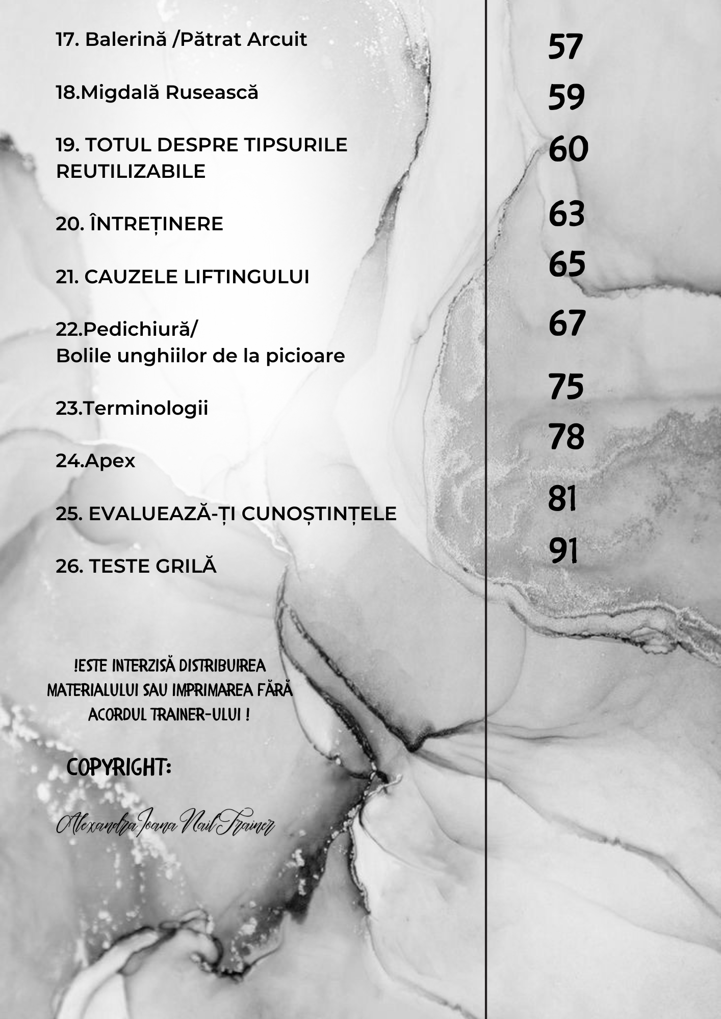 Caiet interactiv Fizic